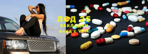 индика Бикин