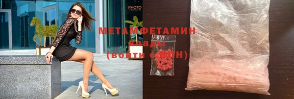индика Бикин