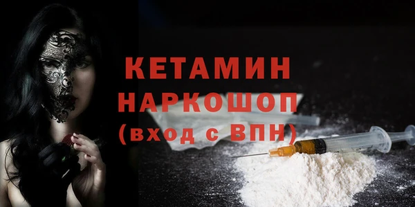 индика Бикин