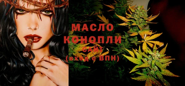 индика Бикин
