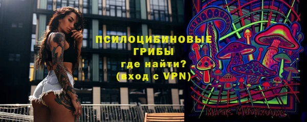 индика Бикин