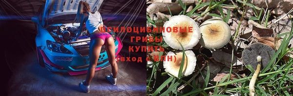 индика Бикин