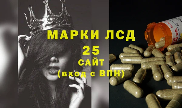 индика Бикин