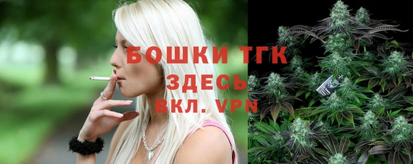 индика Бикин