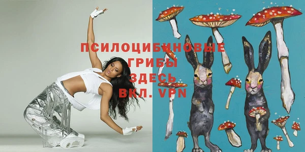 мдпв Билибино