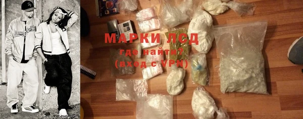 индика Бикин