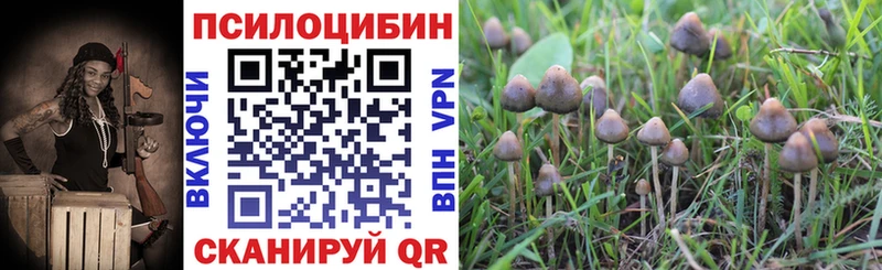 blacksprut онион  Подпорожье  Галлюциногенные грибы мухоморы 